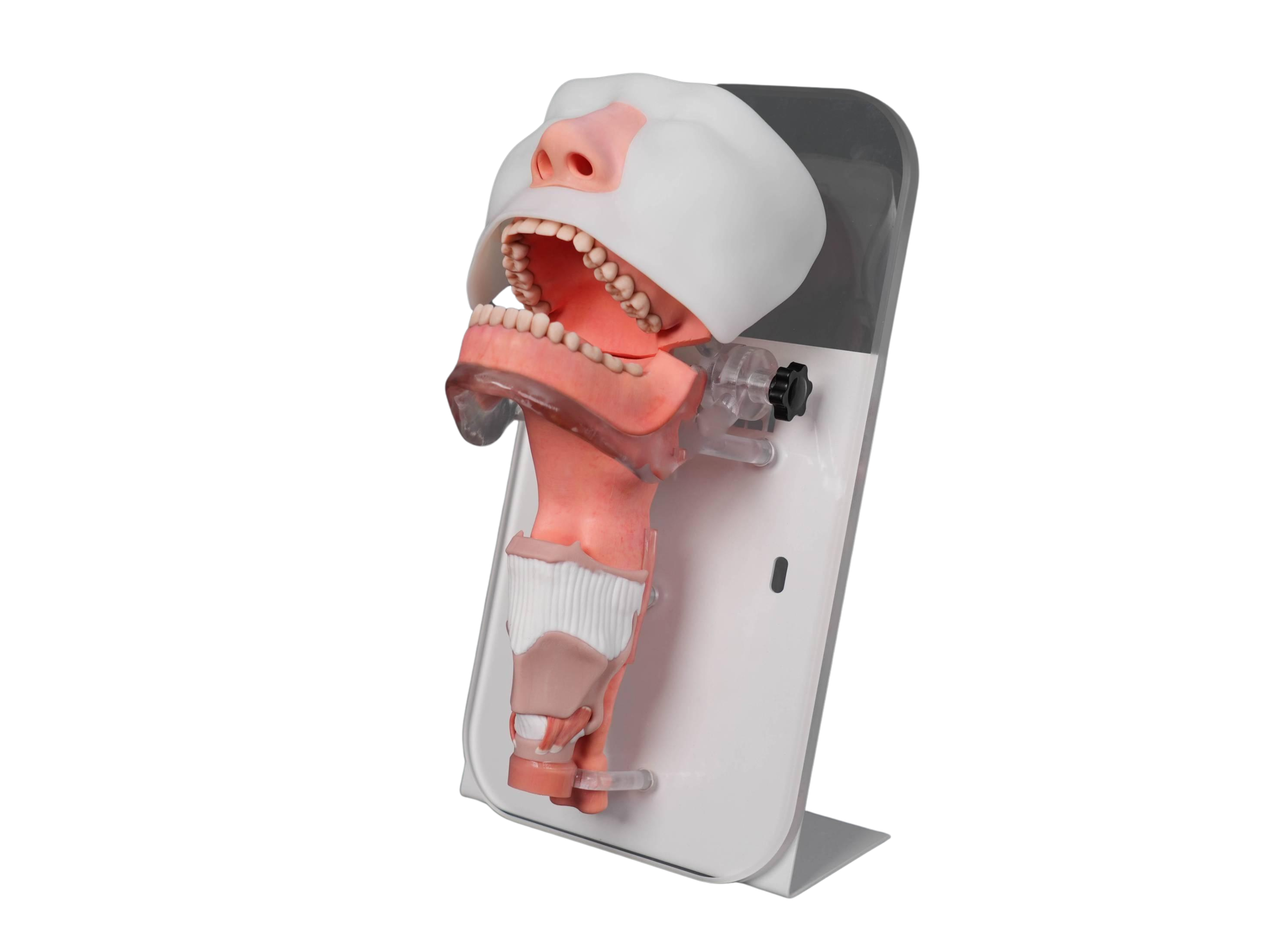 3D-Printed Pharyngeal and Laryngeal Surgical Simulation Training Model.png
