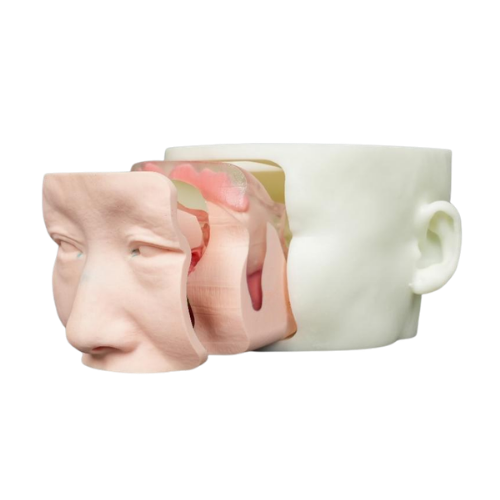 3D-Printed Nasal Surgery Simulation Training Model Kit - White.png