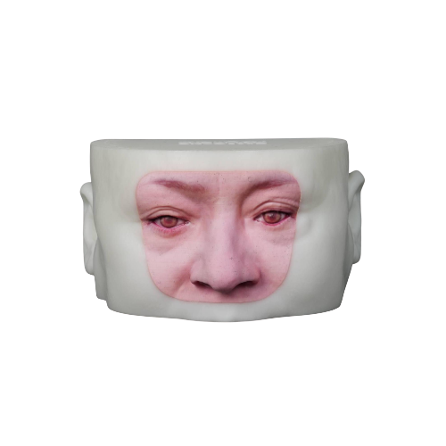 3D-Printed Simulation Training Model for Lacrimal Intubation Surgery - Model E.png