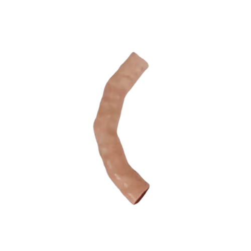 Duodenal Intestinal Tube Model.png