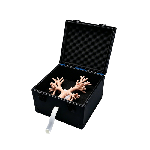 Bronchoscopy Intervention Training Model.png
