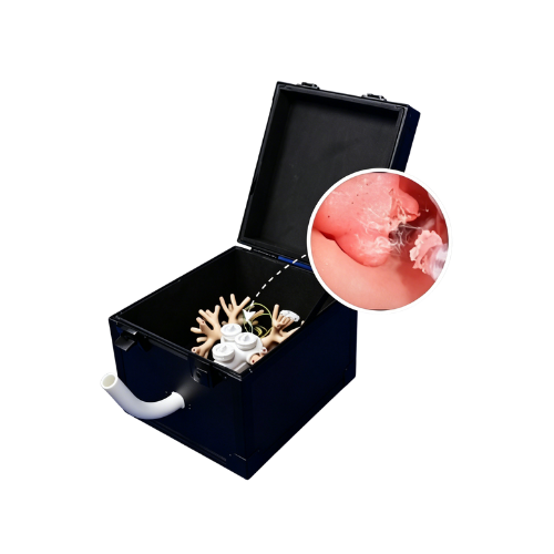 Bronchoscopic Intracavitary Treatment Training Model.png