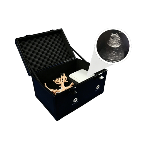Intrabronchial Ultrasound Training Model （EBUS）.png
