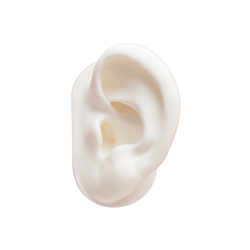 Prosthesis - Auricular Prosthesis.png