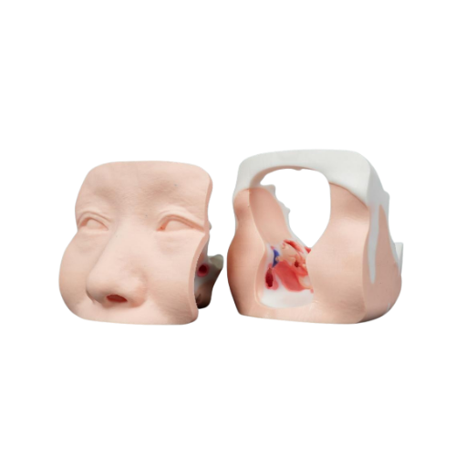 3D-Printed Nasal Surgery Training Model Two-Piece Kit (Base + Replacement Module).png