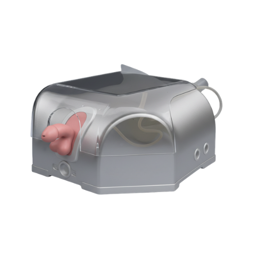 Prostate Endoscopy Training Model.png
